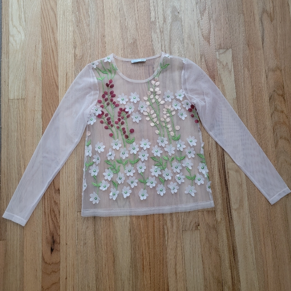 Zara Sheer Top